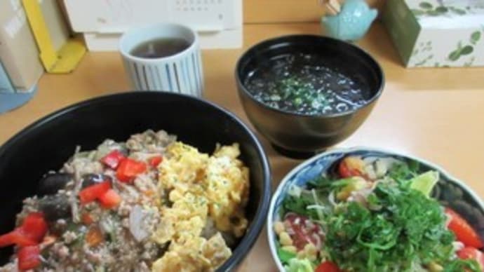 「ほたる2号館」の日替わりランチは、薬味そばサラダ付き夏野菜のそぼろ丼定食
