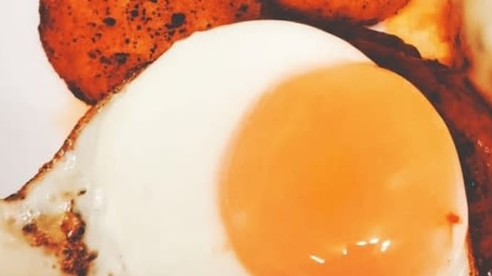 【煮込みハンバーグ】