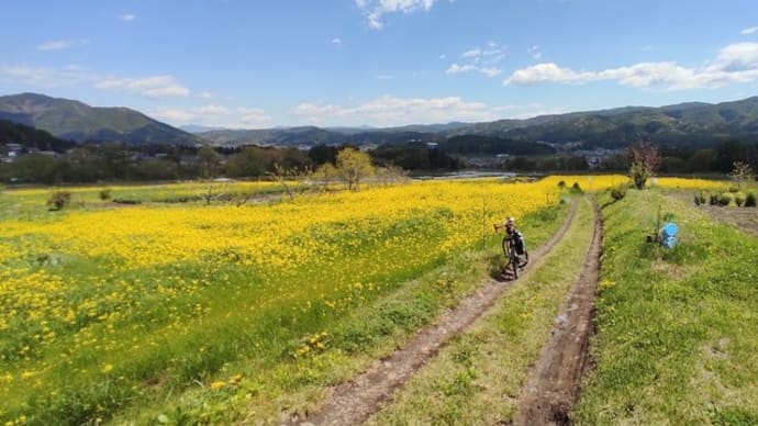 花ももはもう散っていたけれど、、、