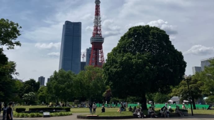 東京タワー　定点撮影