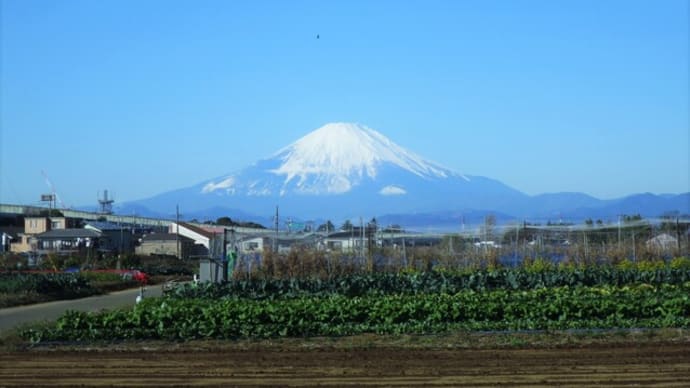 富士見ポタリング