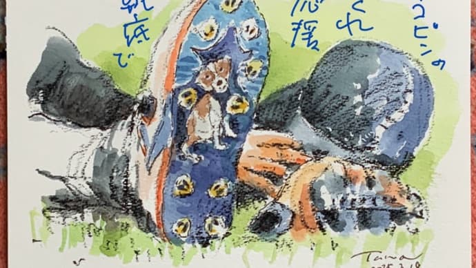 デコピンの かくれ応援 靴底で