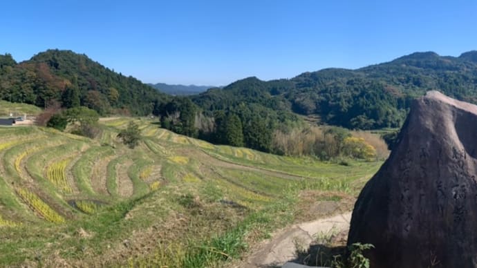 今日も!