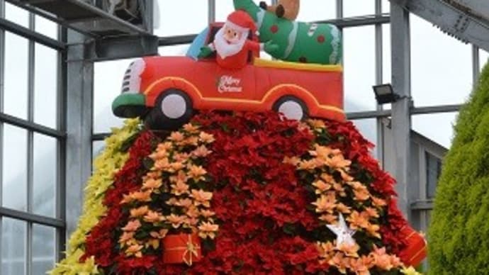 ブルーメッセのクリスマス