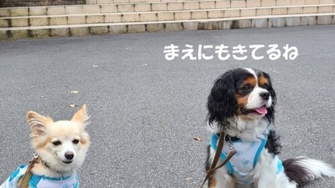 2回目の｢ワンズリゾート山中湖｣～パパ誕生日旅行・山梨編⑦