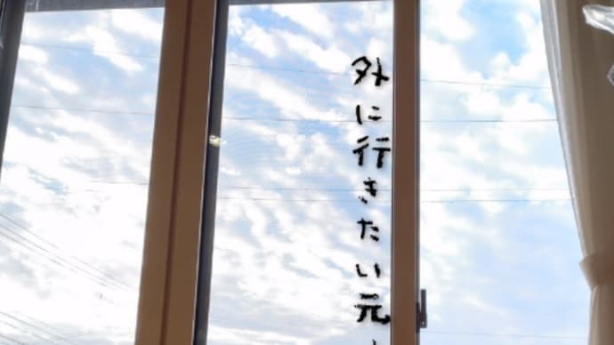 留守番金色ふたり。
