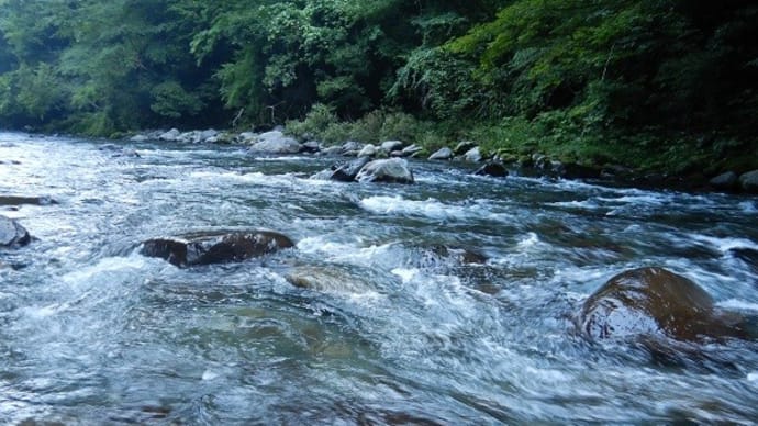8月03日 亀尾島川で鮎釣り!
