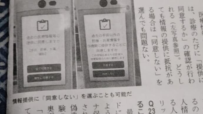 [マイナカード」詐欺にご用心&年末断捨離