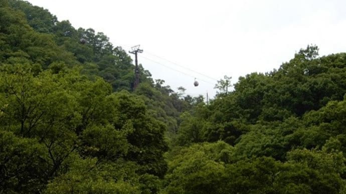 メーグルでノリタケの森、徳川園