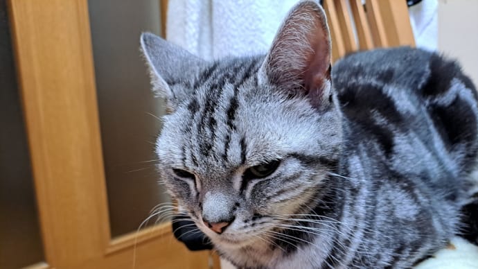 可愛いプレゼント。