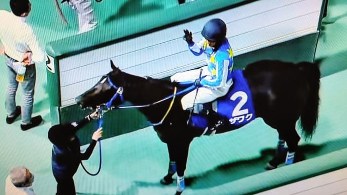 🐴きょうのおうまさん(22/7/6) 🌟🐴スパーキングレディーC