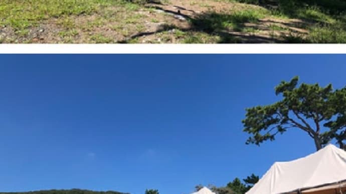 久しぶりに一色海岸まで散歩でした。