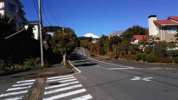 211202_散歩途中に見かけた富士山