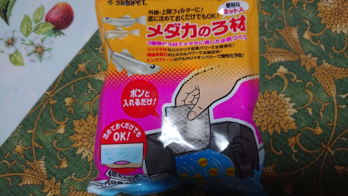 ハッシュタグ メダカのろ材 Goo Blog Gooブログ ハッシュタグ メダカのろ材 Goo Blog Gooブログ