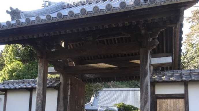 能満寺山公園~小山城跡