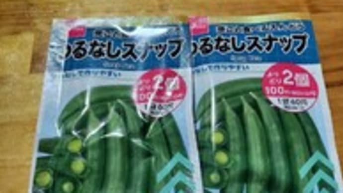 春蒔きつるなしスナップエンドウ