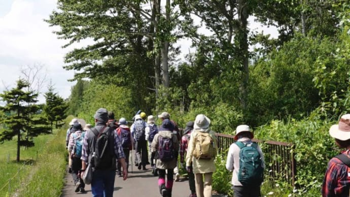 2024年6月11日(火)さっぽろ自然散歩「福移の森~あいの里公園」