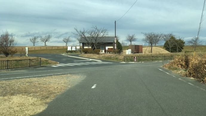 陽気に誘われ、地元の利根川ポタリングぅ~