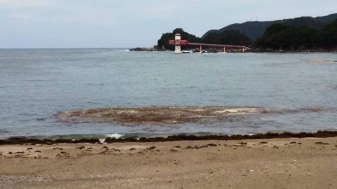 ぶらり散歩0527