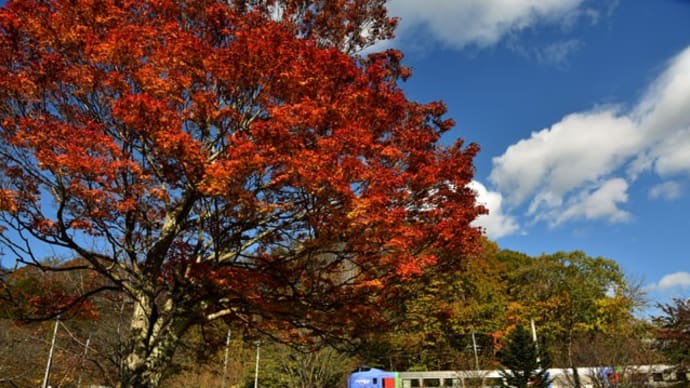 2021/10/24(日)晴れ、紅葉が盛りの滝上公園と石勝線☆