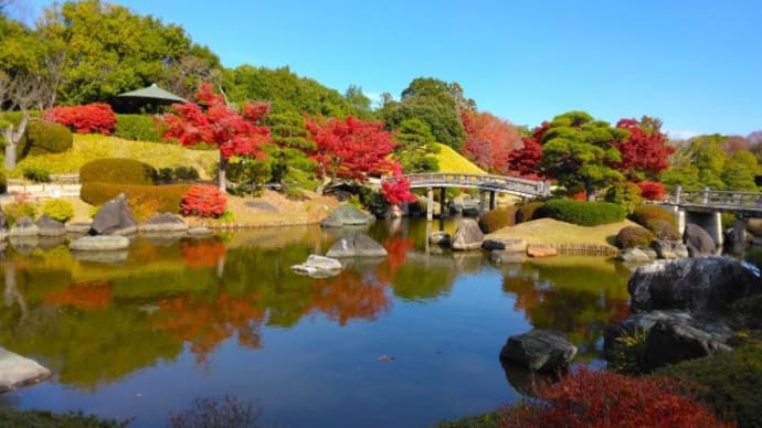 大仙公園の紅葉