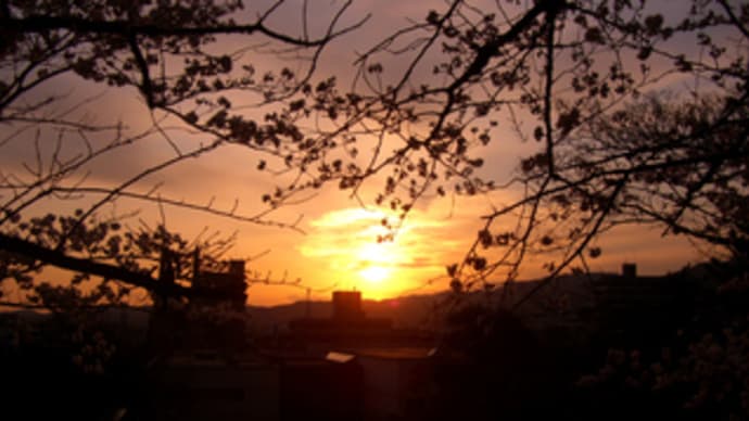 福山城公園から夕日を眺める