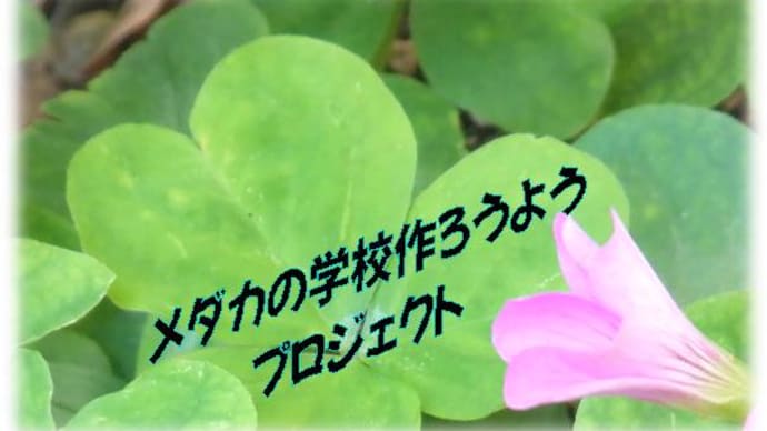 「めだかの学校作ろうよう~!🐟「#おうちめだかちゃんプロジェクト」(梅雨編6月ごろ)