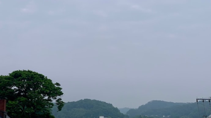 私がコロナにかかったら