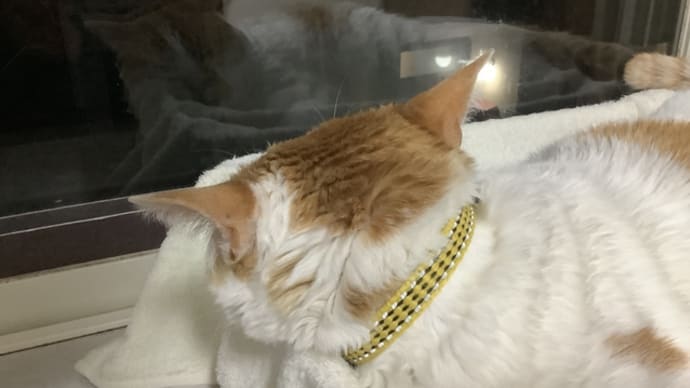 人生に必要な・・・