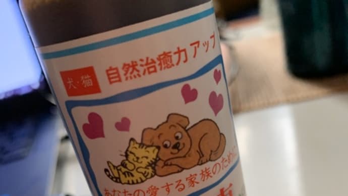 長時間外出。【ささの恵】が届いた、嫌がらず飲んでる
