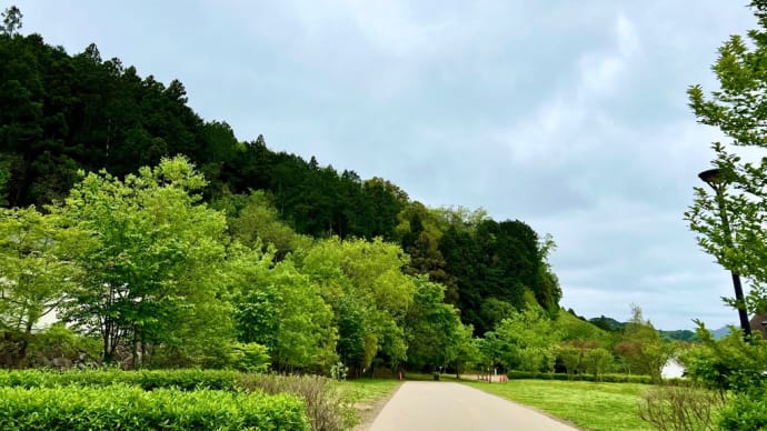 桜から新緑の季節〜健康コーラス♪〜