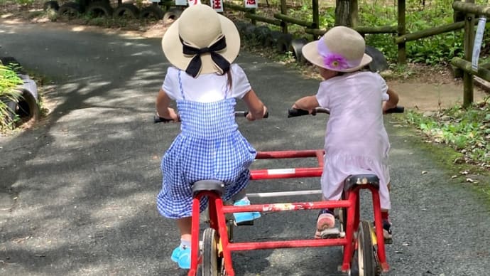 夏休みの過ごし方
