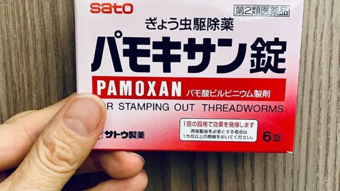 虫くだし薬飲んでみた