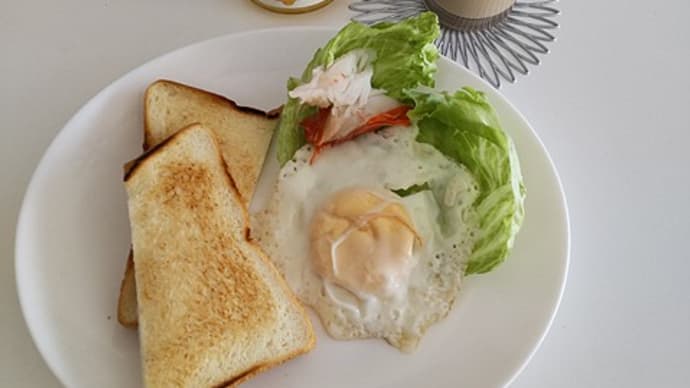 11月14日 ラーの朝ごはん。