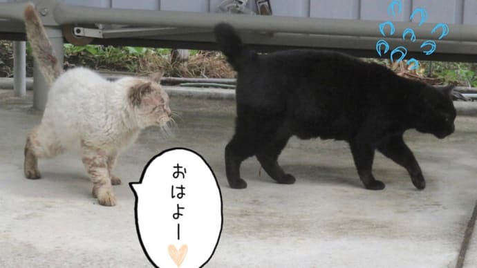 レオのご挨拶