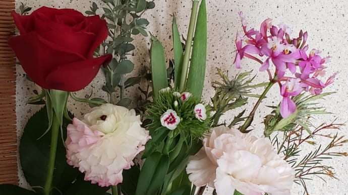 今週(1/25~)の🌼イイハナ🌼