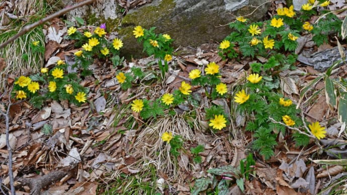 カテゴリー「男鹿半島3月」の目次