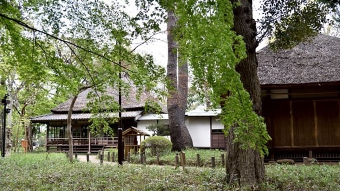 世田谷区「蘆花恒春園」へウォーキング