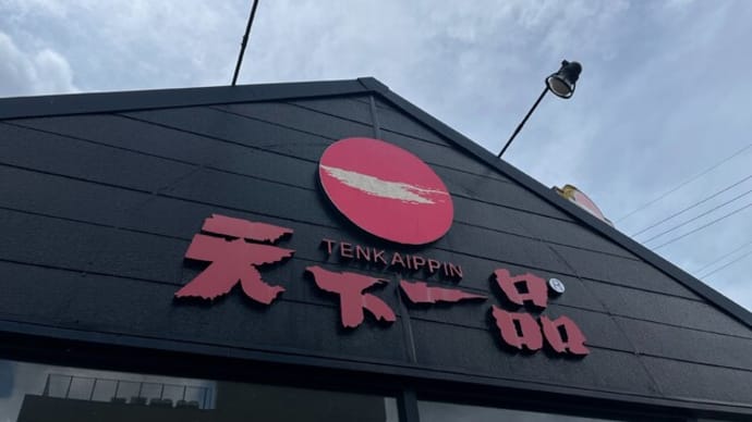 #1059 タルタル南蛮定食 @天下一品 岐阜薮田店 (岐阜)