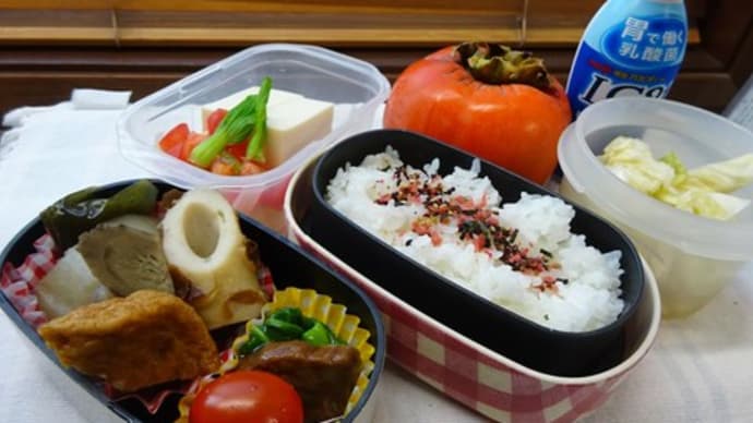 おでんと思いつきの牛肉煮のお弁当