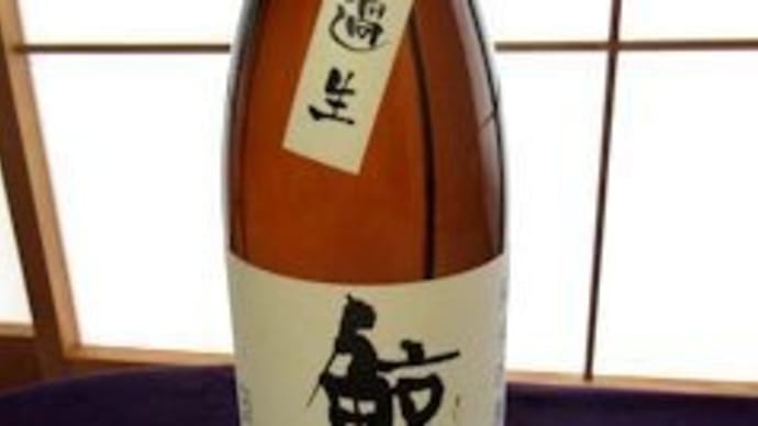 今年初めての 鯨波 に酔う!