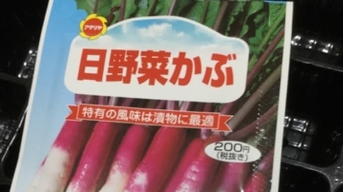 滋賀県の郷土野菜【#日野菜かぶ】さん❣️菜園メンテナンス訪問でプレゼント🎁今年も…GET