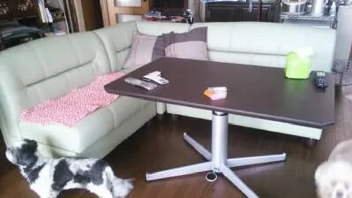 ダイニングソファー