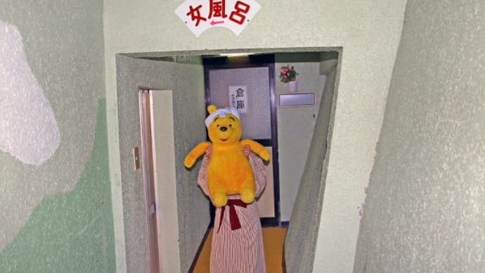 プーさん 奈良県吉野郡十津川村 十津川温泉郷 湯泉地温泉 やど湯の里に行ったんだよおおう その5