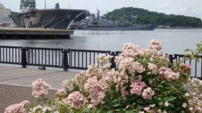 初夏のヴェルニー公園散策♪、(2024初夏)。