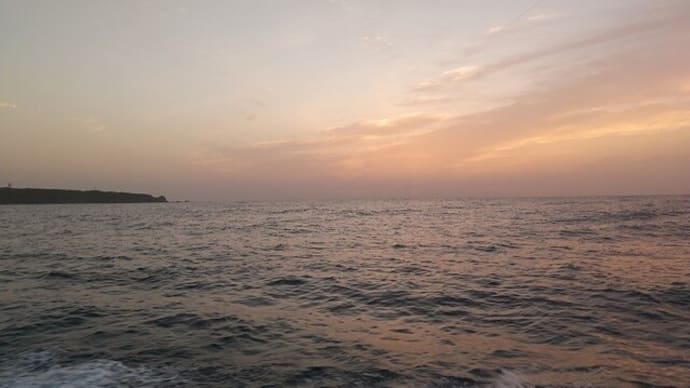 ぱたーんはイルカ in 浦神