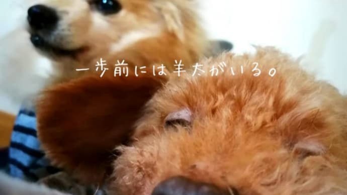 安否確認のババ会