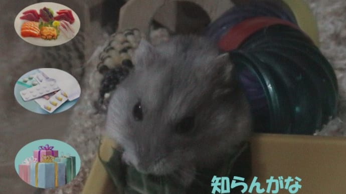 「焼たてパン」って?
