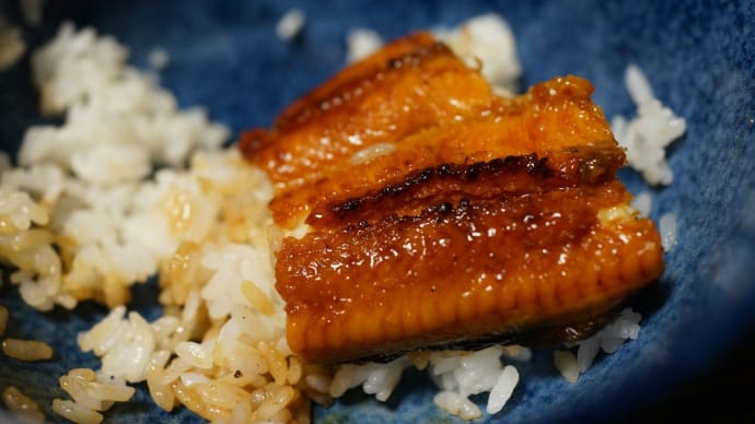 母の初盆 赤いろうそく? お中元で鰻の蒲焼き丼?