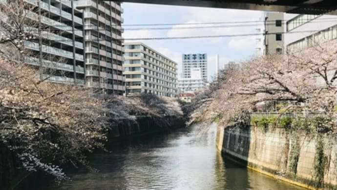 新月・牡羊座☆新たな始まり